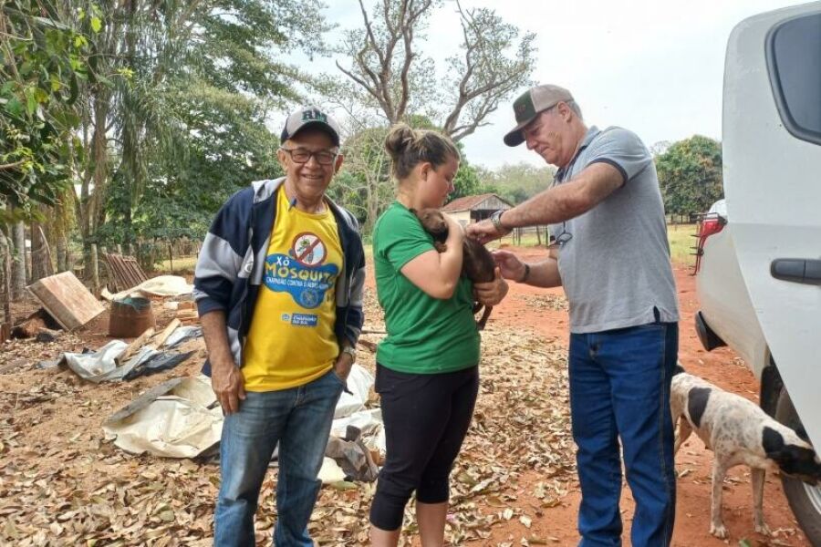 Imagem dengue chapadao